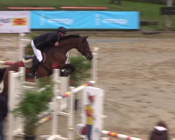 Reitturnier Buchenhof-Ibbenbüren 2017