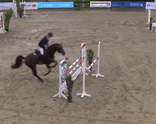 Reitturnier Buchenhof-Ibbenbüren 2017