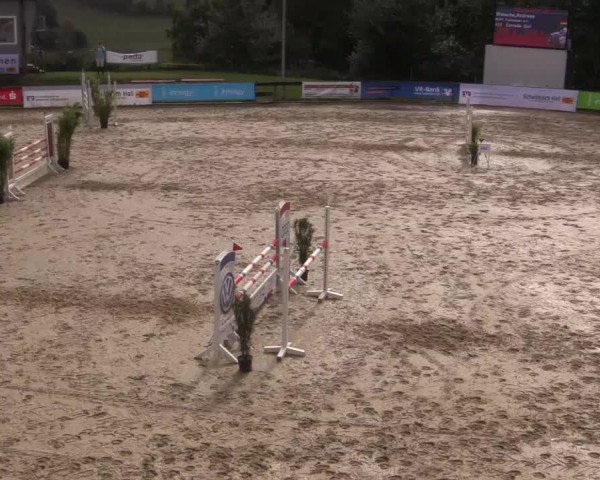 Reitturnier Buchenhof-Ibbenbüren 2017