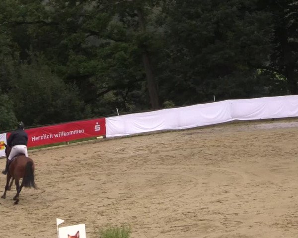 Reitturnier Buchenhof-Ibbenbüren 2017