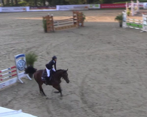 Reitturnier Buchenhof-Ibbenbüren 2017