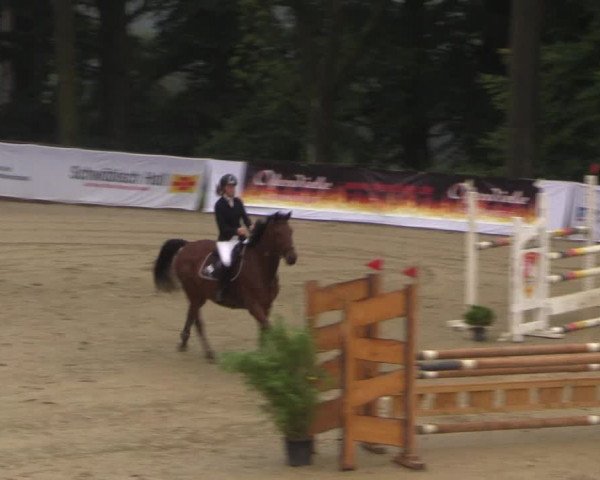 Reitturnier Buchenhof-Ibbenbüren 2017