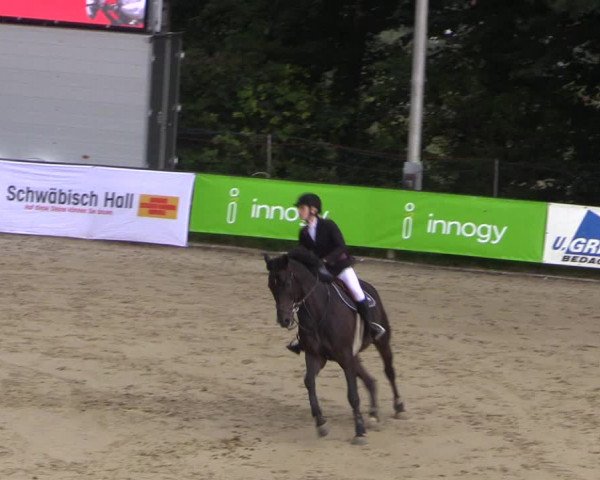 Reitturnier Buchenhof-Ibbenbüren 2017