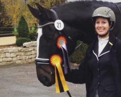 dressage horse Fürst Flatley (Westphalian, 2010, from Flatley 2)
