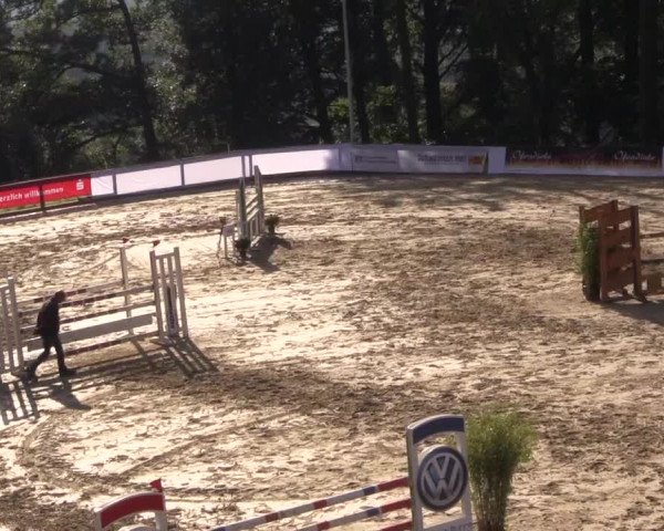 Reitturnier Buchenhof-Ibbenbüren 2017