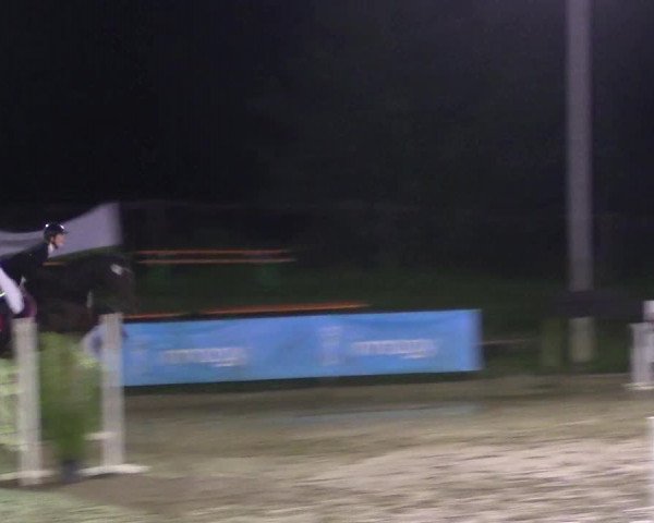 Reitturnier Buchenhof-Ibbenbüren 2017