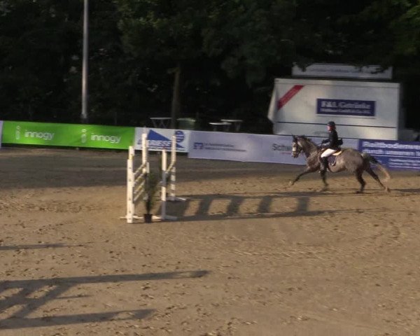 Reitturnier Buchenhof-Ibbenbüren 2017