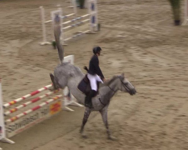 Reitturnier Buchenhof-Ibbenbüren 2017