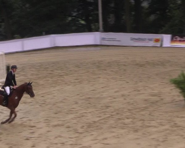Reitturnier Buchenhof-Ibbenbüren 2017