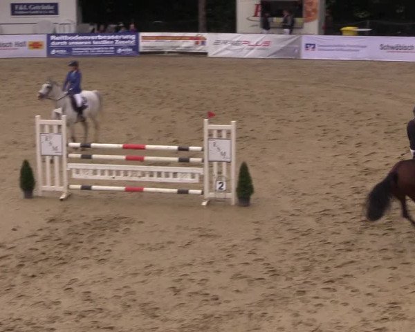Reitturnier Buchenhof-Ibbenbüren 2017