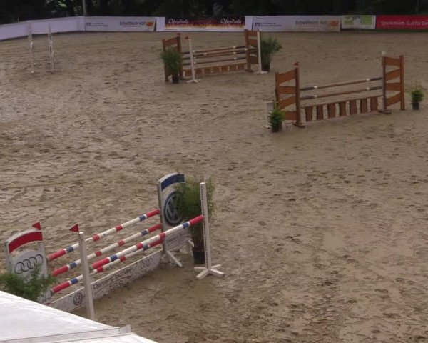 Reitturnier Buchenhof-Ibbenbüren 2017