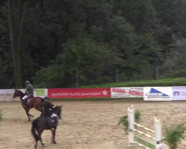Reitturnier Buchenhof-Ibbenbüren 2017