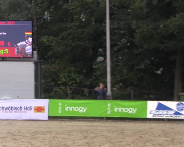 Reitturnier Buchenhof-Ibbenbüren 2017