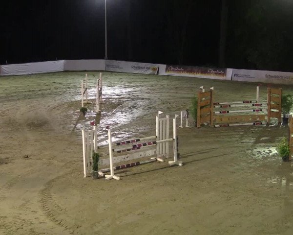 Reitturnier Buchenhof-Ibbenbüren 2017