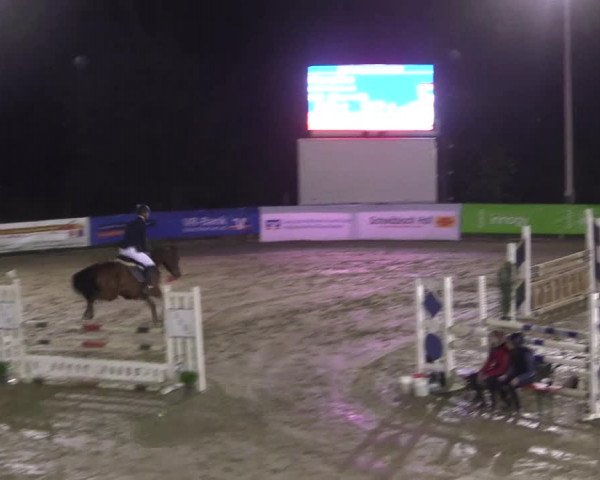 Reitturnier Buchenhof-Ibbenbüren 2017