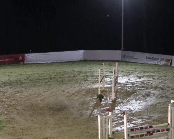 Reitturnier Buchenhof-Ibbenbüren 2017