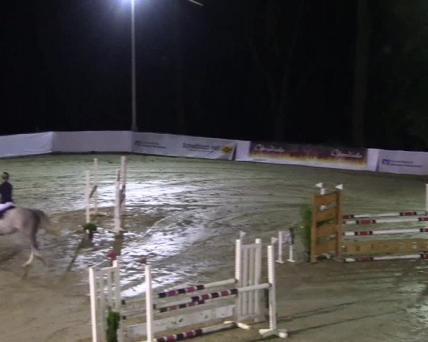Reitturnier Buchenhof-Ibbenbüren 2017