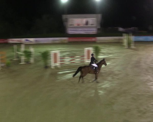 Reitturnier Buchenhof-Ibbenbüren 2017