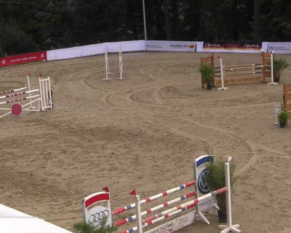 Reitturnier Buchenhof-Ibbenbüren 2017