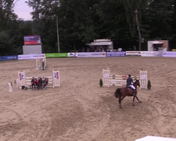 Reitturnier Buchenhof-Ibbenbüren 2017