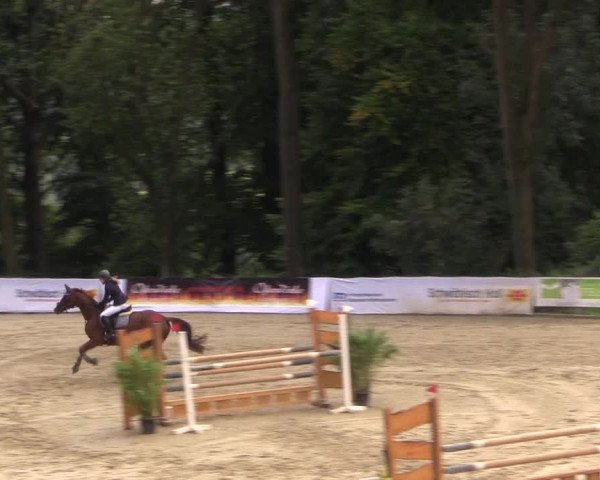 Reitturnier Buchenhof-Ibbenbüren 2017