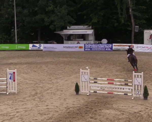 Reitturnier Buchenhof-Ibbenbüren 2017