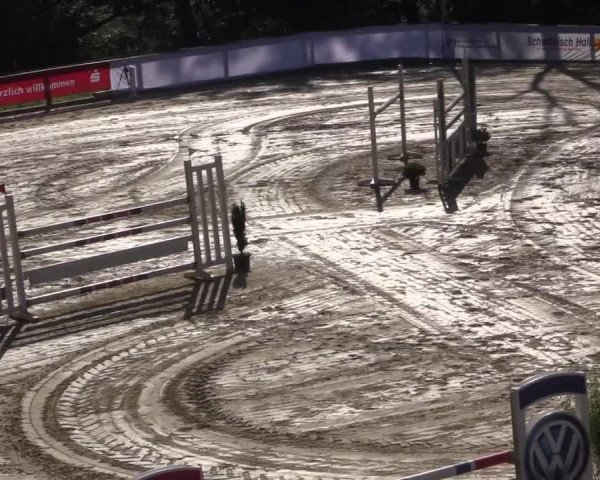 Reitturnier Buchenhof-Ibbenbüren 2017