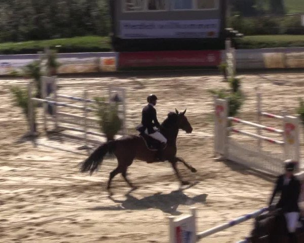 Reitturnier Buchenhof-Ibbenbüren 2017
