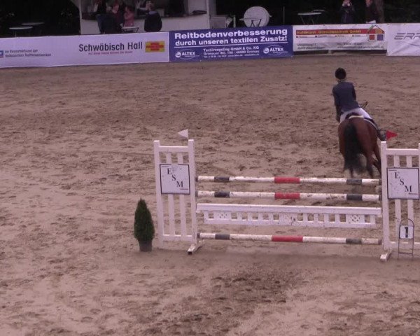 Reitturnier Buchenhof-Ibbenbüren 2017