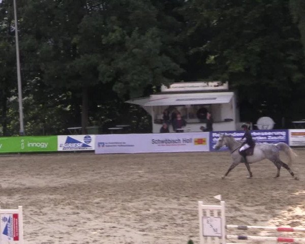 Reitturnier Buchenhof-Ibbenbüren 2017