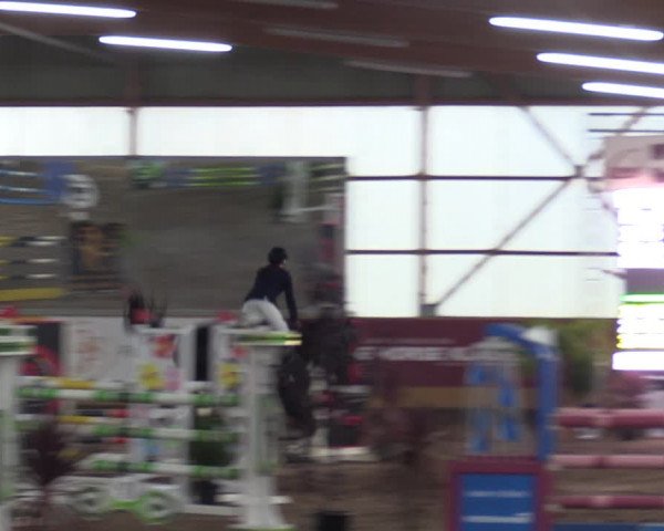 Große Jumping-Trophy Pausin 2021