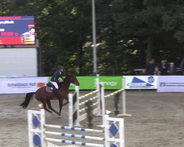 Reitturnier Buchenhof-Ibbenbüren 2017