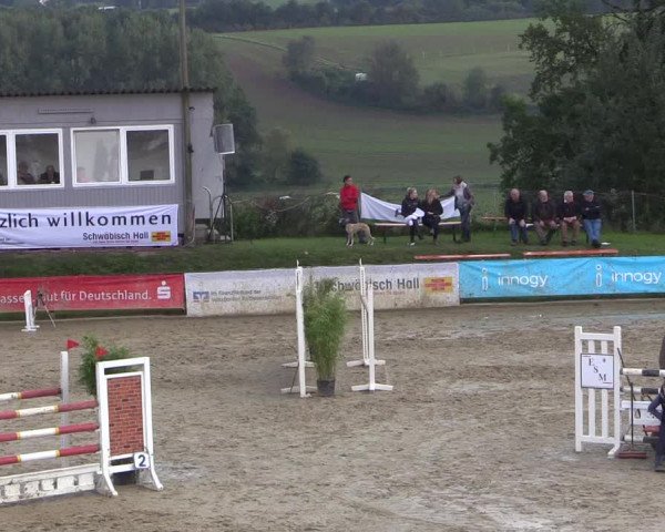 Reitturnier Buchenhof-Ibbenbüren 2017