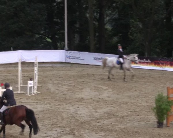 Reitturnier Buchenhof-Ibbenbüren 2017