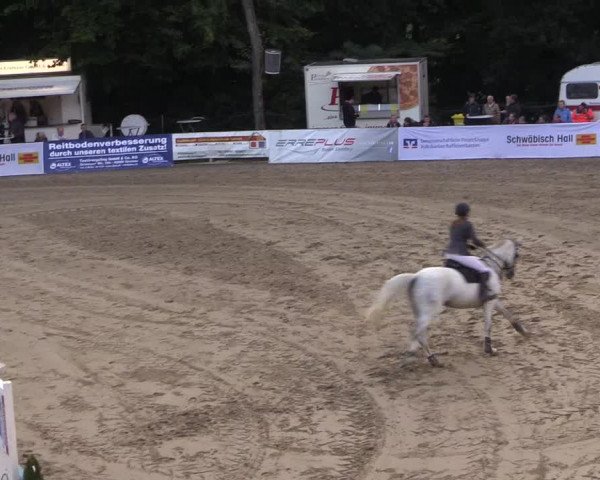 Reitturnier Buchenhof-Ibbenbüren 2017