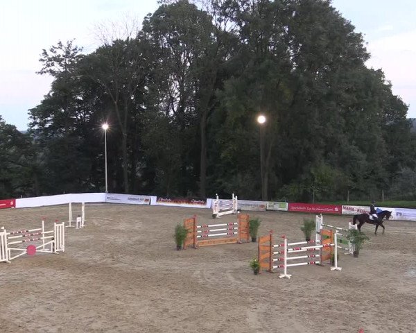 Reitturnier Buchenhof-Ibbenbüren 2017