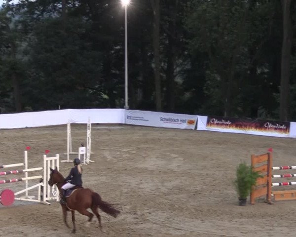 Reitturnier Buchenhof-Ibbenbüren 2017