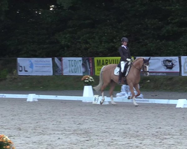 Reitturnier Meinerzhagen 2017
