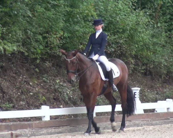 Reitturnier Mettmann - Reitanlage Löckenhoff 2017