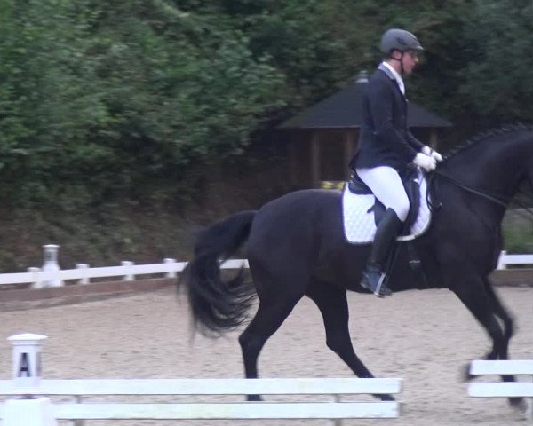 Reitturnier Mettmann - Reitanlage Löckenhoff 2017