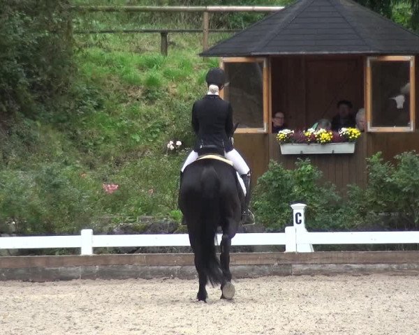 Reitturnier Mettmann - Reitanlage Löckenhoff 2017