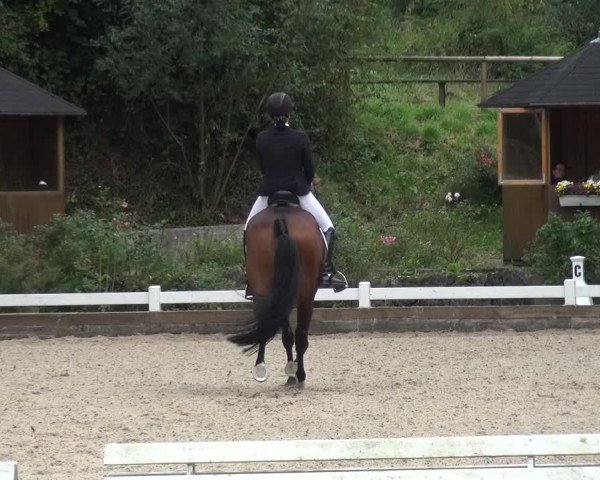 Reitturnier Mettmann - Reitanlage Löckenhoff 2017