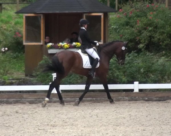 Reitturnier Mettmann - Reitanlage Löckenhoff 2017