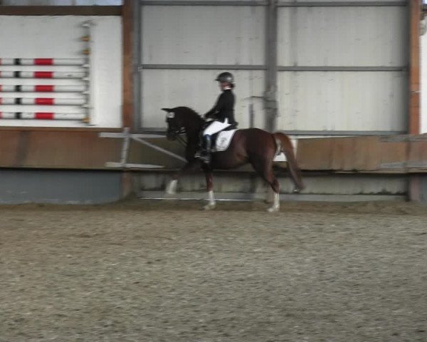 Reitturnier Meinerzhagen 2017