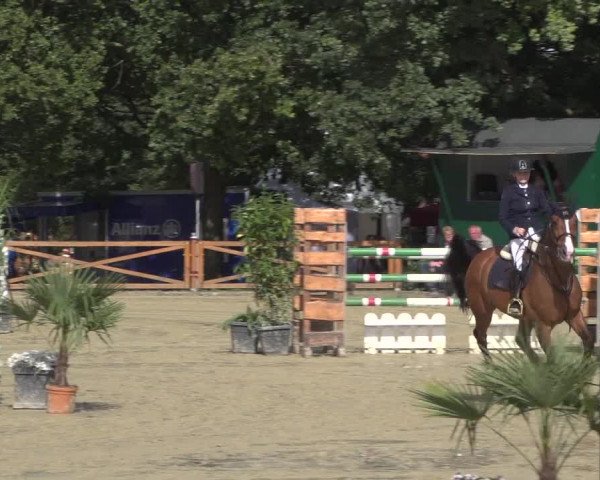 Reitturnier Köln - Reitanlage Brüse 2017