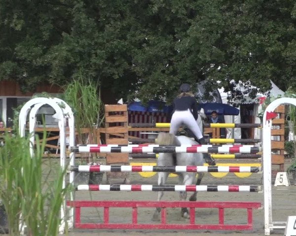 Reitturnier Köln - Reitanlage Brüse 2017