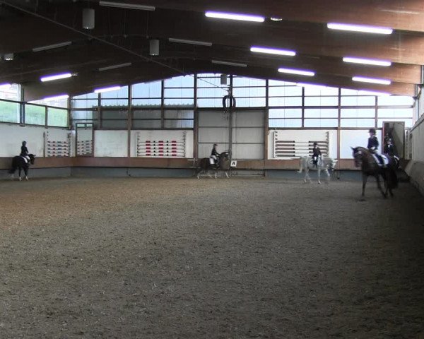 Reitturnier Meinerzhagen 2017