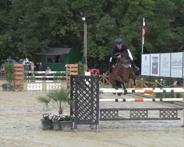 Reitturnier Köln - Reitanlage Brüse 2017