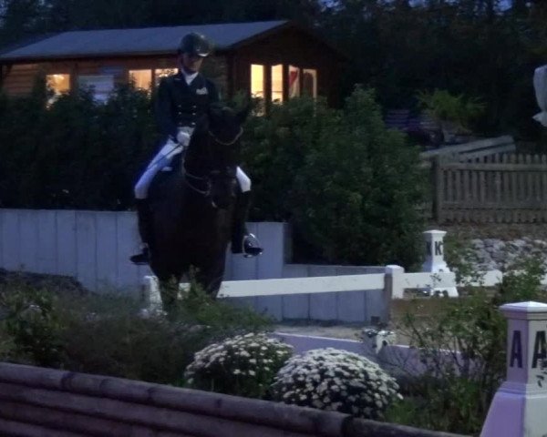 Reitturnier Mettmann - Reitanlage Löckenhoff 2017