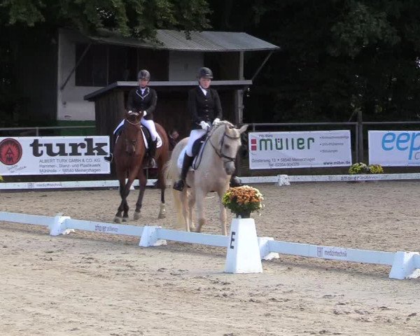 Reitturnier Meinerzhagen 2017